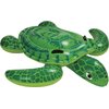 Lil' sea Turtle 57524