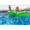 Lil' sea Turtle 57524