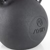 Amila Kettlebell Cast Iron 24kg 44687