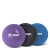 Amila Palm Ball two-Pack 1,0kg μωβ 96712