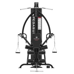 Πολυόργανο Pegasus® hg8 308878800
