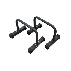 Viking dp-2 Parallettes