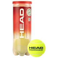 Head Championship Koyta 24x3 new Κωδ.3121226