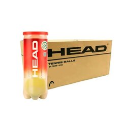 Head Championship Koyta 24x3 new Κωδ.3121226