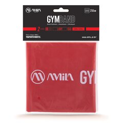 Λάστιχο Αντίστασης AMILA GymBand 2.5m Light 48186