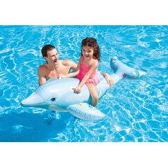 Lil' Dolphin 58535