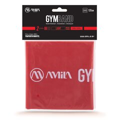 Λάστιχο Αντίστασης Amila Gymband 1.2m Light 48181