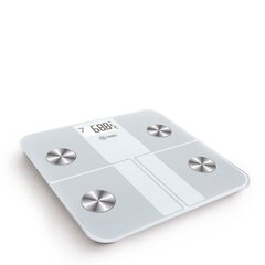 Smart Fitbody 4r 95363
