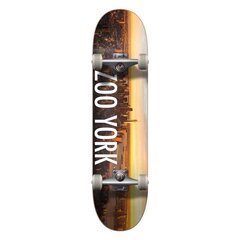 Zoo York Sunrise Complete Skateboard 8.25'' - Multi