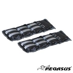 Pegasus® Βάρη Άκρων (2.0kg - Zεύγος) Β-2112-20