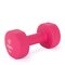 Amila Neoprene Dumbbell 8kg 90518